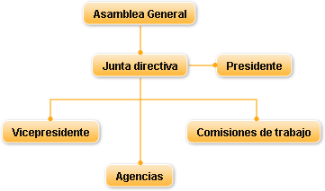 Organigrama AEVAV